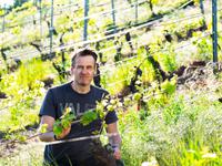 Alexander i Hundskopf