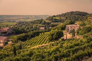 Clos Derriere Vieille web