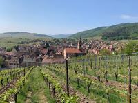 GC Schoenenbourg3