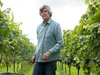 Hugo i vinmarken redigert